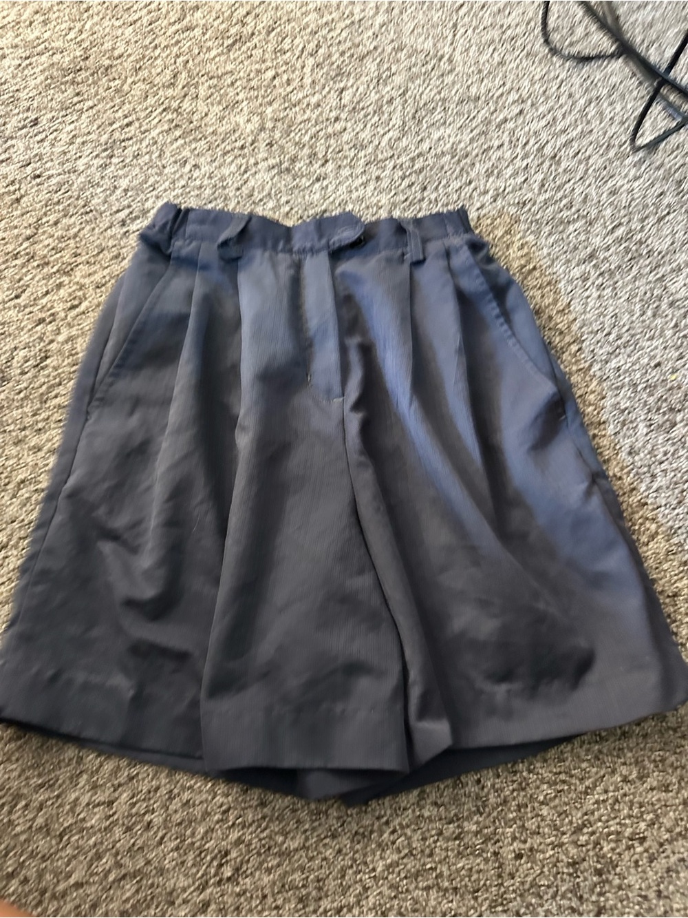 Nike Navy Pleated Mini Skirt